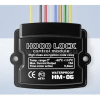 Модуль Pandora HM-06